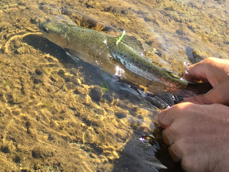 Fishing Derbies Out There Outdoors