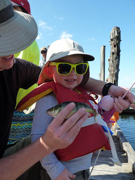 Dad holding a small perch fish that he helped his toddler son catch. Child wearing a red life jacke, hat, and sunglasses, and holding a spin fishing rod.