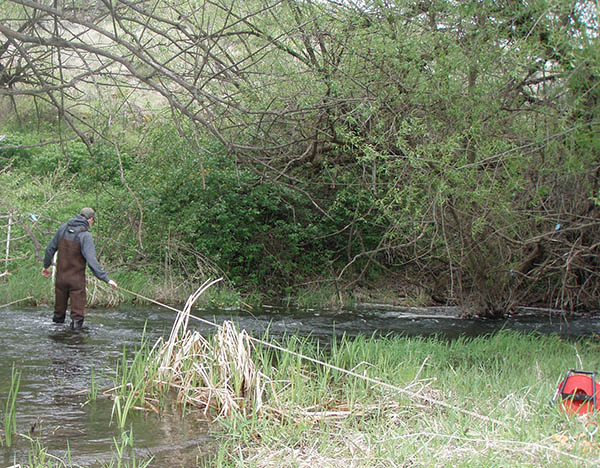 The author knee deep in water pulling a large string across the water to measure stream flow.