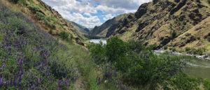 Photo of the Hells Canyon Wilderness and the Snake River in the background.