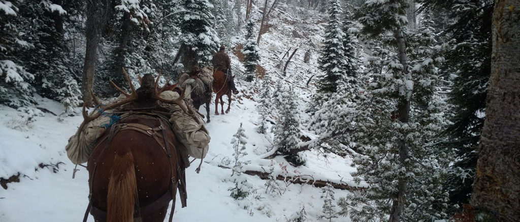 Photo of horses carrying out packs of bull elk through snow covered trees in the Frank Church Wilderness area.