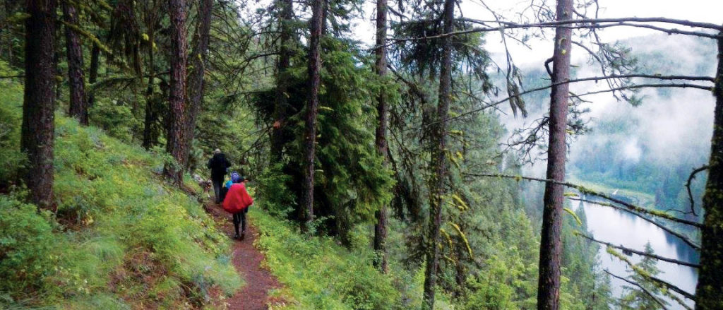 Photo of hikers on single track hiking trail on foggy mountain side.