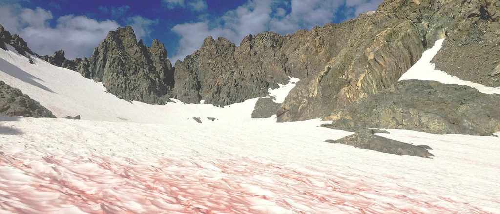 Photo of watermelon snow in foreground with mountain peaks in the background.