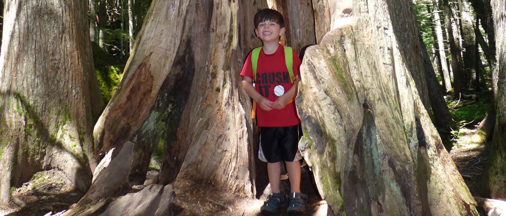 Photo of young boy in hollowed out tree.