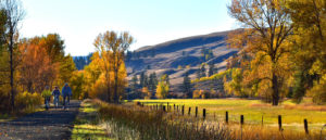 Photo of bikers along the Ferry County Rail Trail with fall colors.