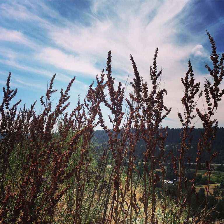 Bluff Talks, Nov 28 Out There Outdoors