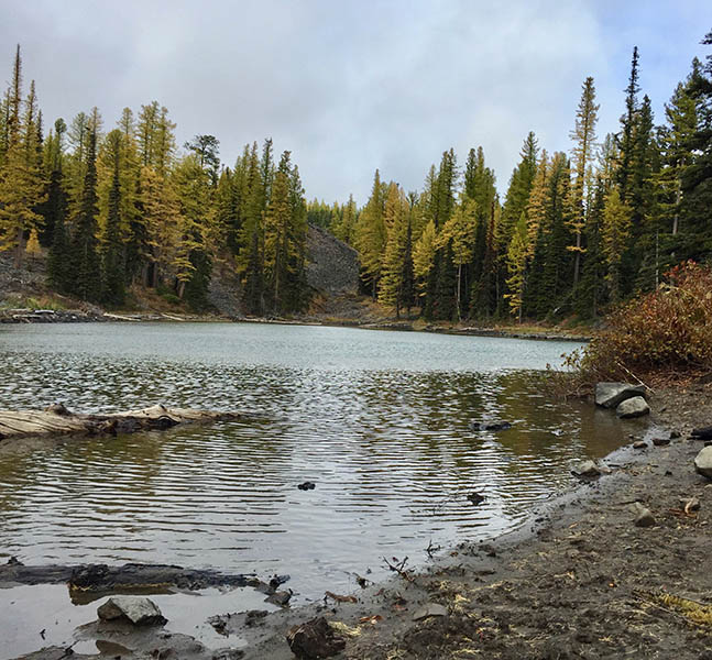 Photo of Clara Lake from the shore.