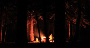 Photo of campfire through the trees.