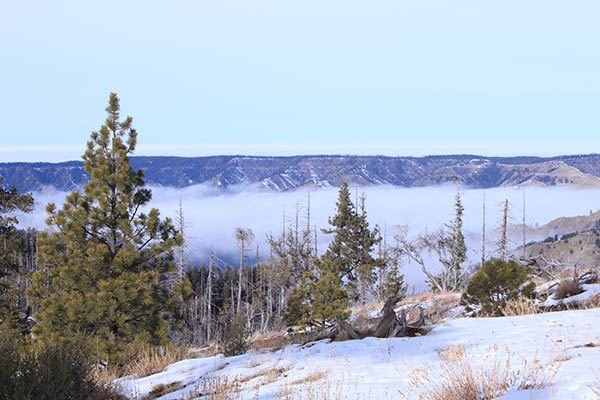 View of mountain range in distance with snow covered ground in foreground.