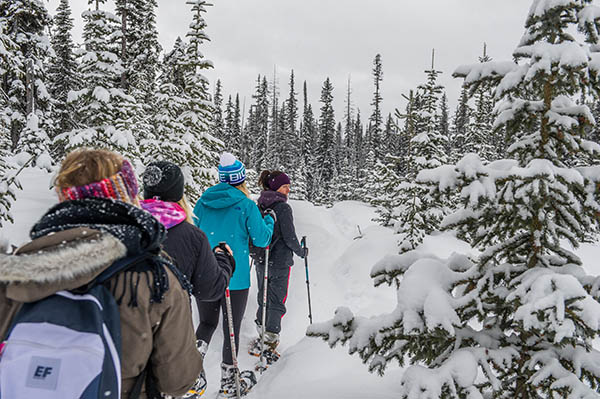 Photo of cross country skiers from behind.