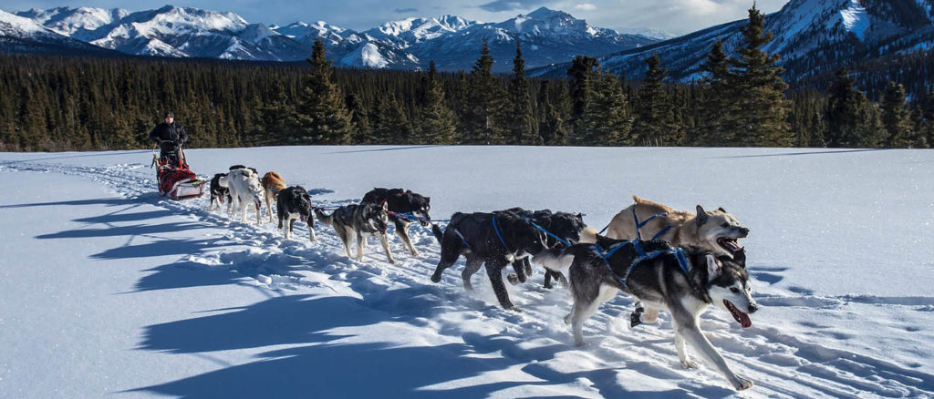 Photo of dog sled team with mountains in the background.
