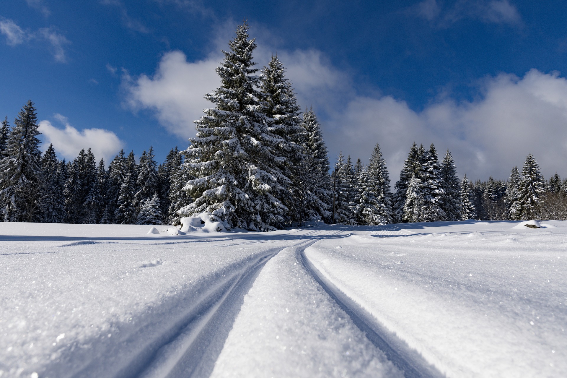 Photo of cross-country ski tracks in snow.