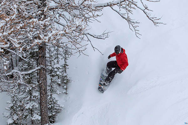 Photo of snowboarder in powder.