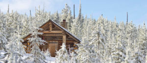 Photo of Snow Peak cabin through snow covered trees.