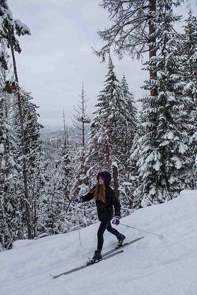 Photo of Nordic skier.