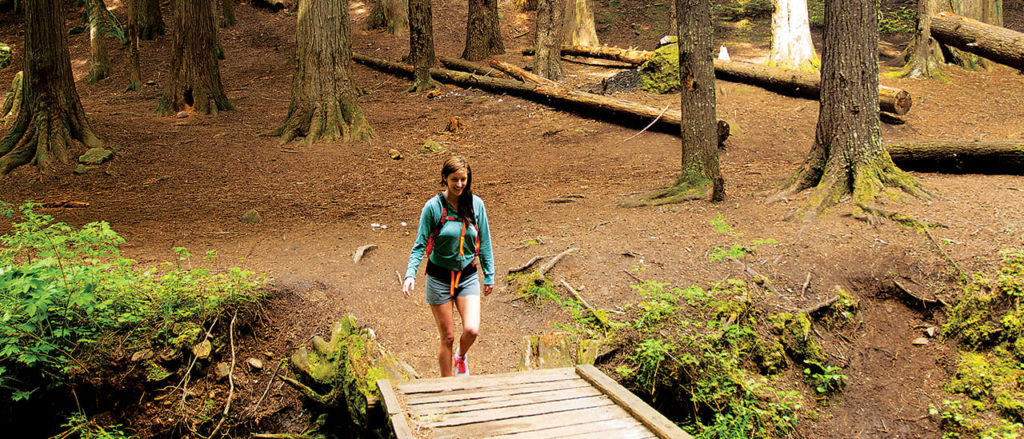 Photo of hiker crossing wooden bridge in cedar grove.