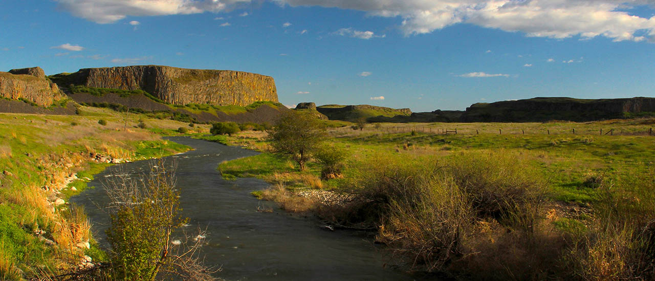 Photo of creek with butte in background.