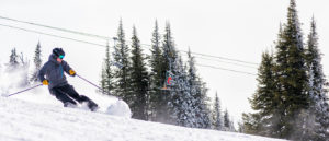 Photo of skier spraying snow.