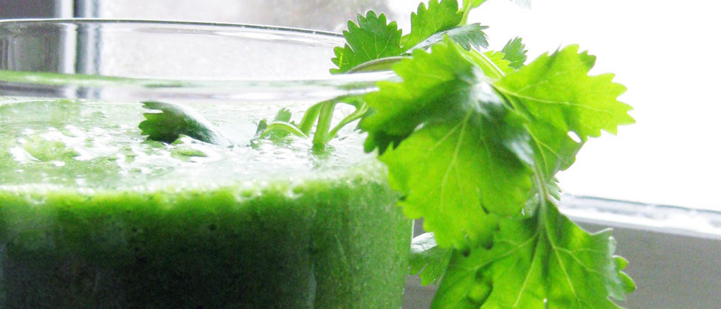 photo of smoothie with cilantro sprig.