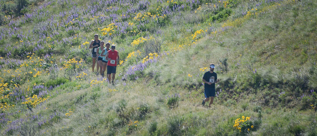 Photo of runners along single track trail.