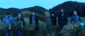 Photo of teenagers in field at dusk holding hay.