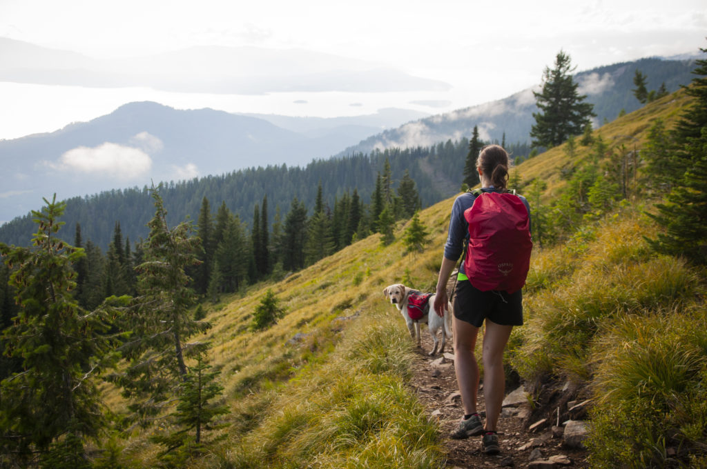 Woman and her dog hiking along a trail to Sherman Peak.