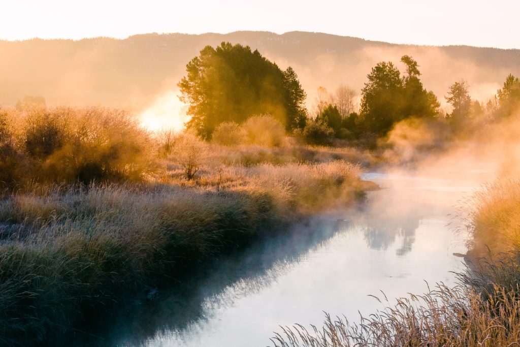 Payette River at sunrise with steam rising off the water's surface, with golden light on the surrounding trees and bushes.