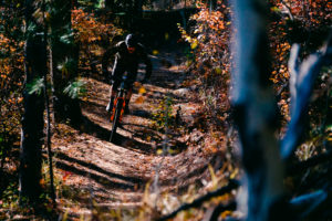 Mountain biker riding down a dirt singletrack with fall-colored trees alongside the trail.