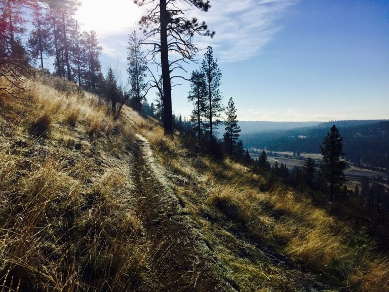 Narrow dirt trail along High Drive Bluff with a view of Spokane's Latah Valley.