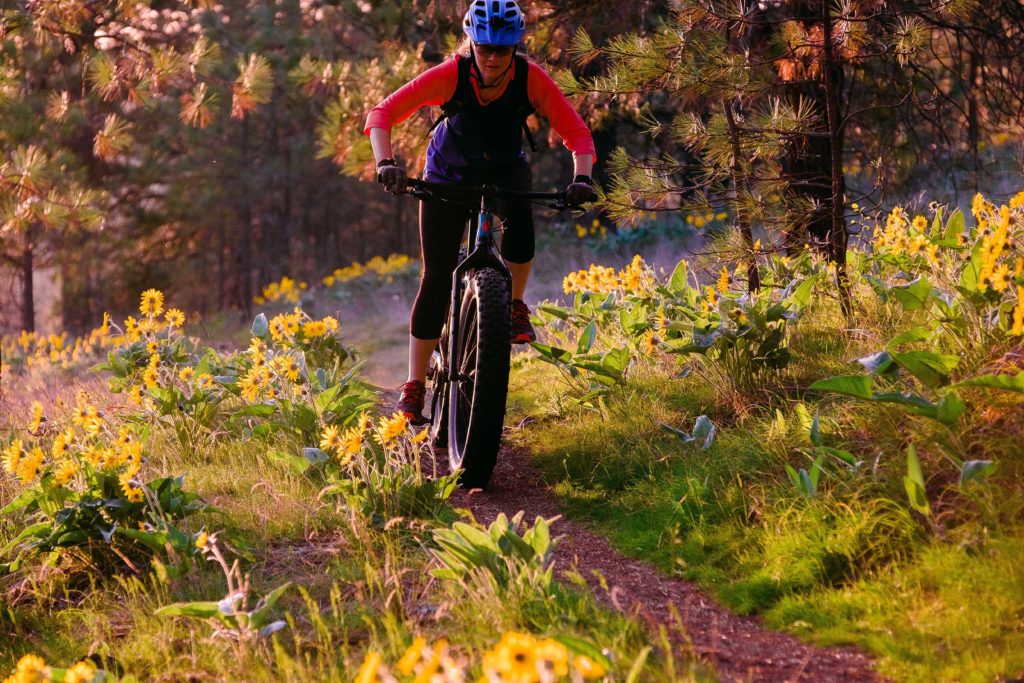 Person fat-biking on a forest trail.