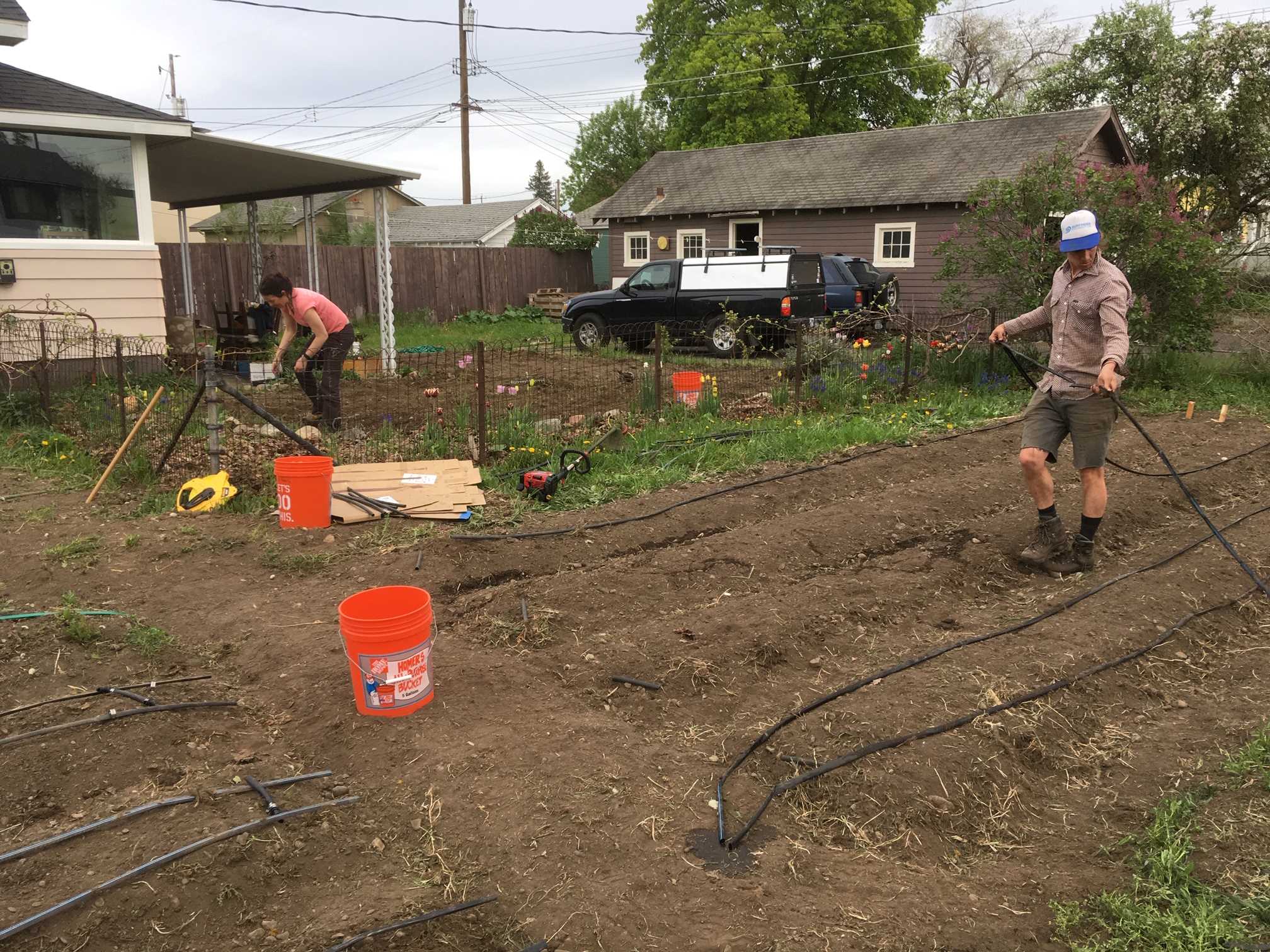People setting up their garden irrigation.