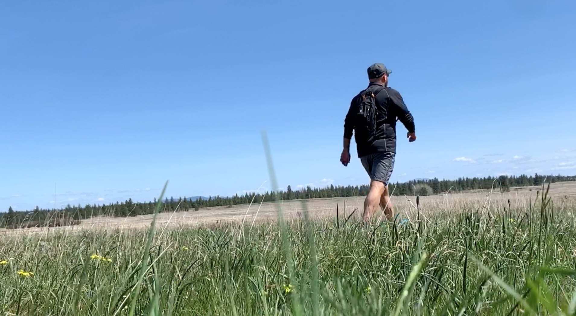 A man walking through a grass field.