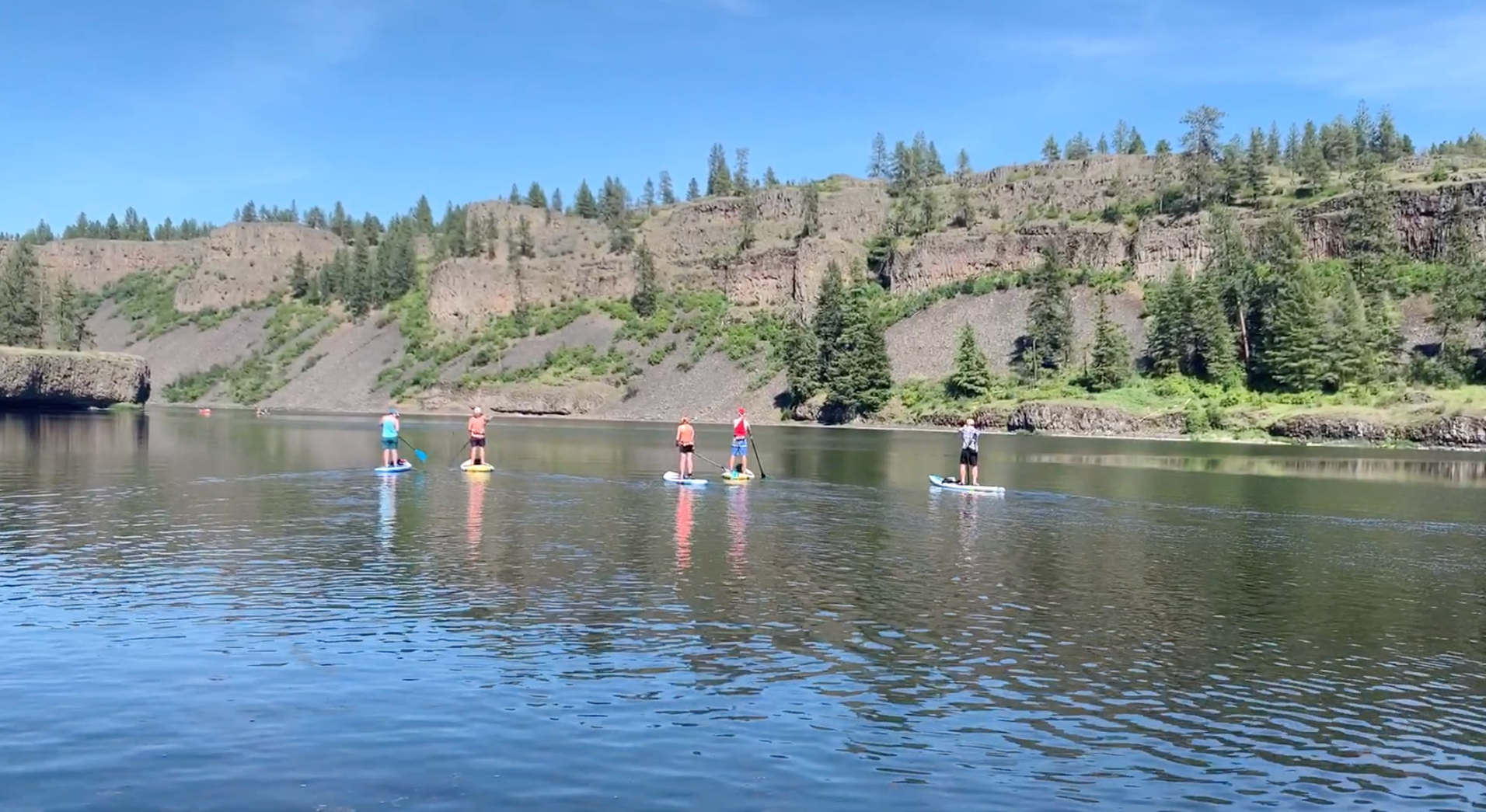 A group of people paddle-boarding on a lake.