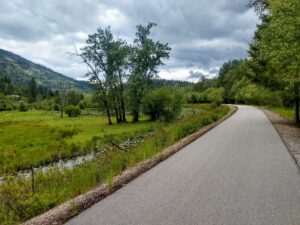 A road curve in a forested area.