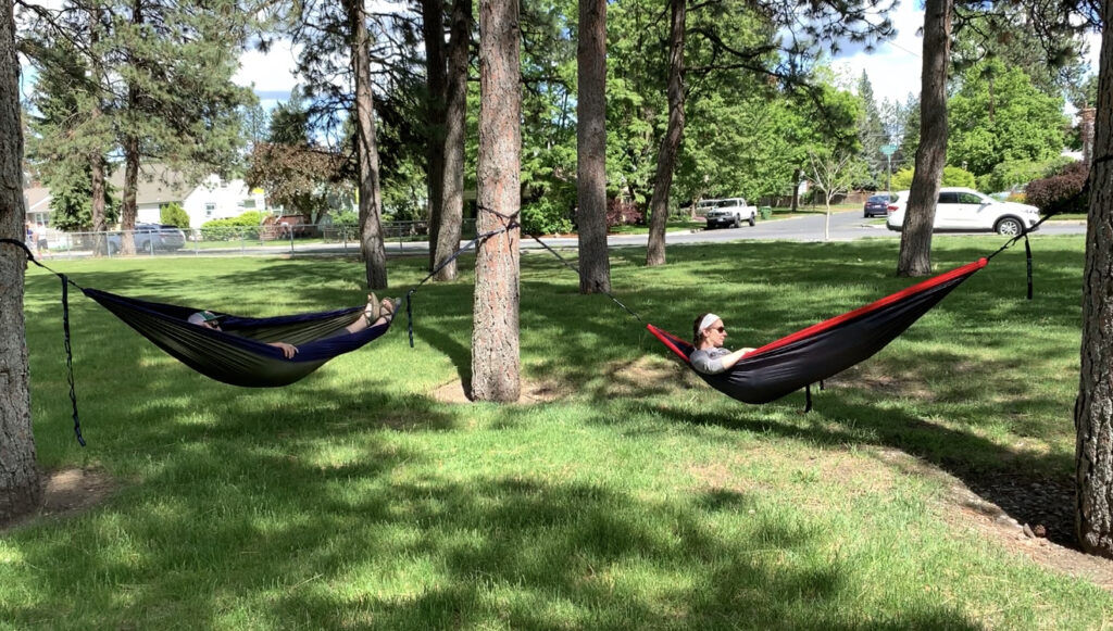 Two people laying in hammocks outside.