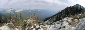 A mountain range with many pine trees.