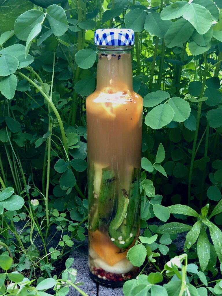 A bottle with murky liquid with vegetation in the background.