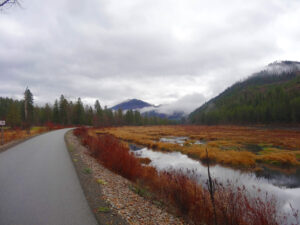 A wetland during fall with mountains in the background.