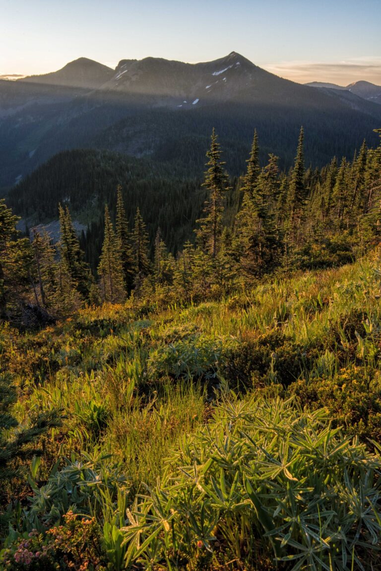 Mountain vegetation overlooking large mountains.