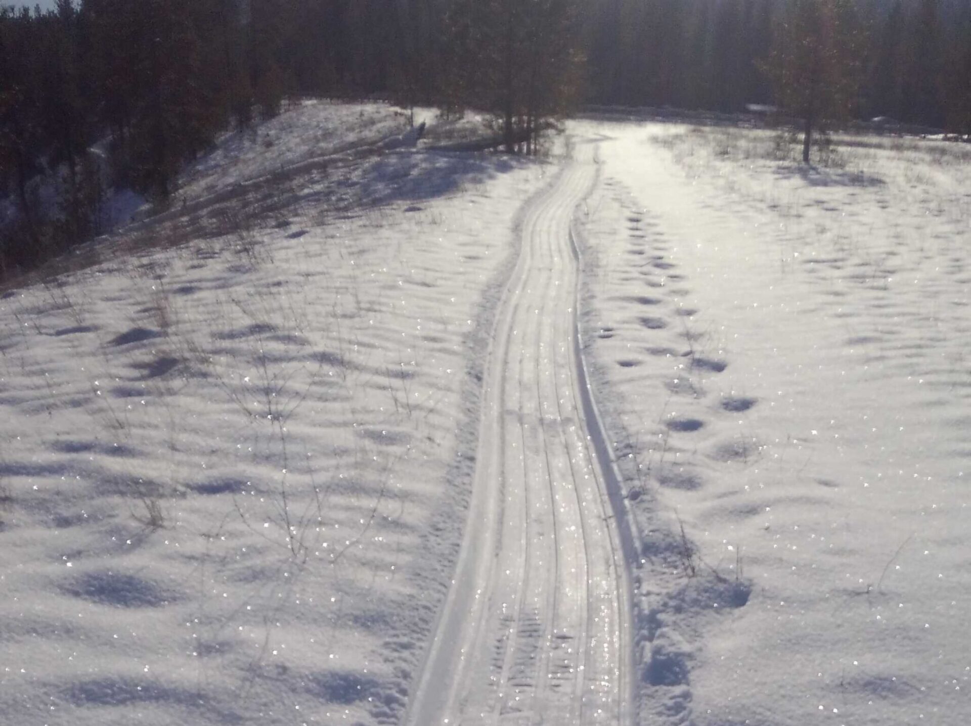 Groomed trail for fat bike riders.