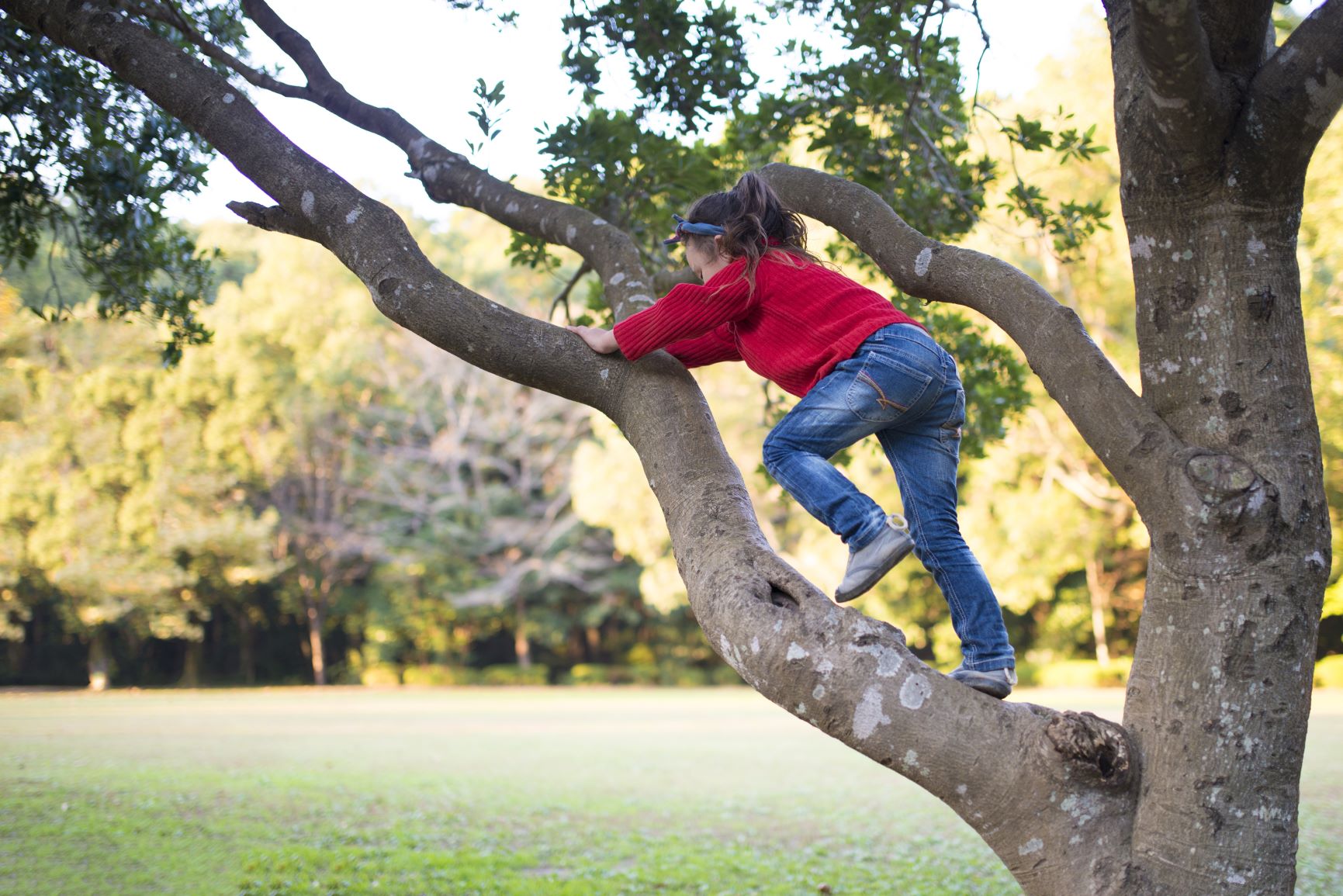 girl climbing up tree.