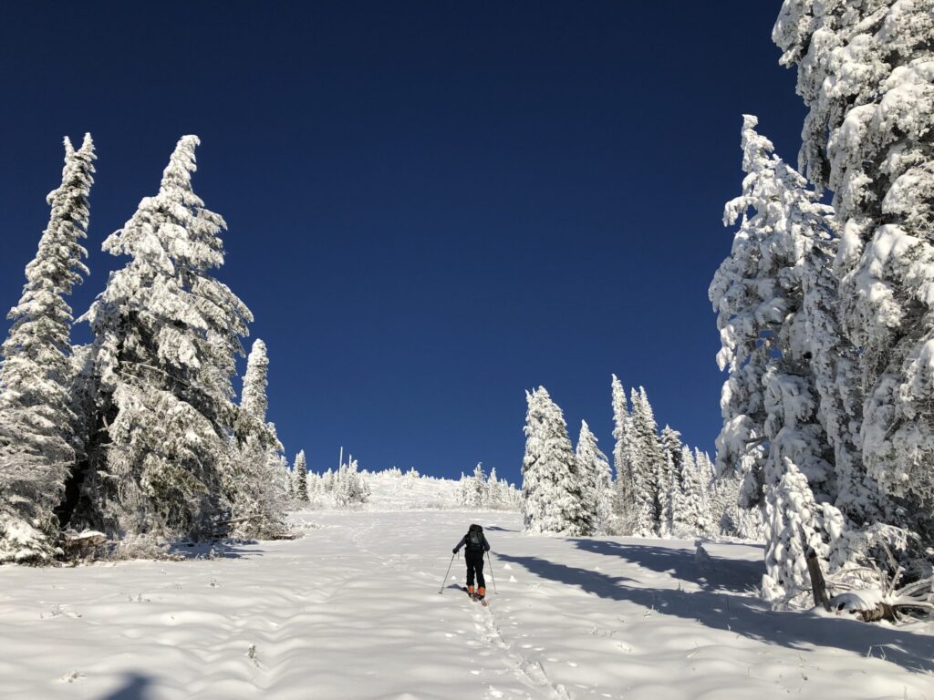 Skier going uphill to the summit of Mt. Spokane.