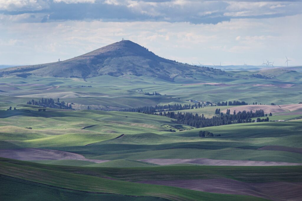 Steptoe Butte State Park.