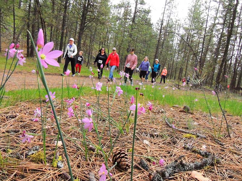 group walking on trail.