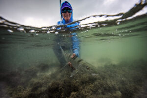 Jessica Haydahl holding a sturgeon fish under water.