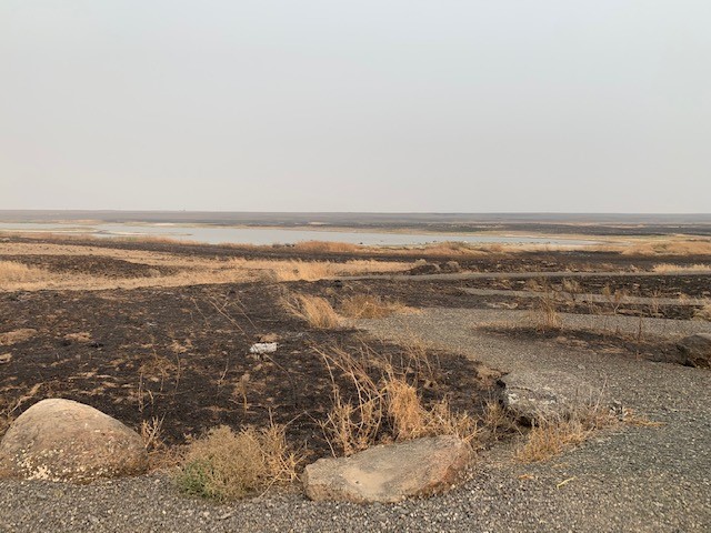 Charred ground and rocks at the Swanson Lakes Wildlife Area after the Whitney Fire, Sept. 2020. Photo courtesy Kim Thorburn.