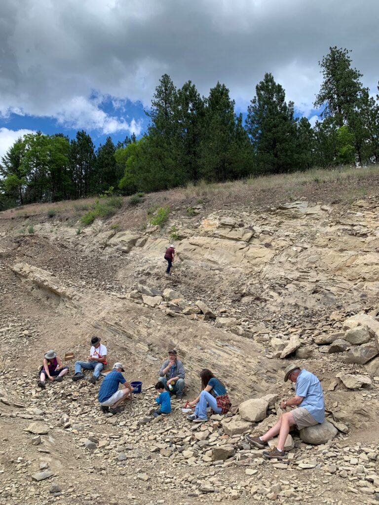 People digging for fossils at Stonerose Interpretitve Center and Eocene Fossil Site in Republic, Washington. Rocky, dry, arid dirt with trees in the background.