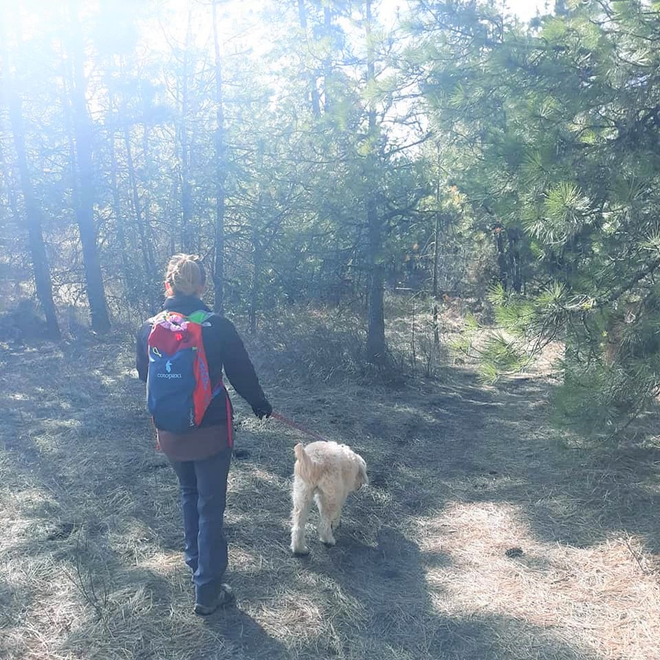 Woman hiking with her dog on a forested trail at Slavin Conservation Area.