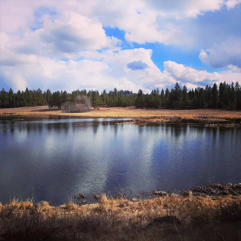 View of lake with reflection of clouds on the water.