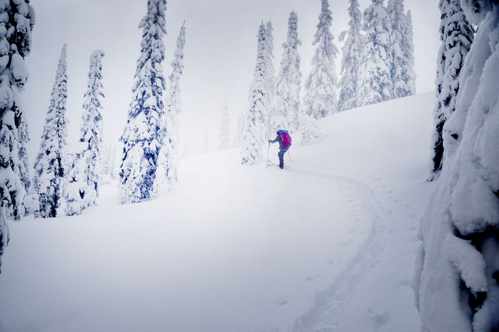 Powder Matt skinning up a powderly slope to access backcountry skiing.